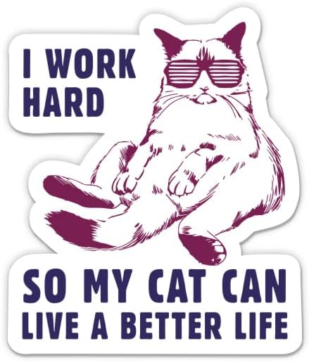 Kedimin Daha İyi bir Hayat Yaşayabilmesi için Çok Çalışıyorum Sticker-3 laptop etiketi - Araba, Telefon, Su Şişesi