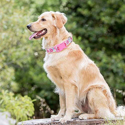 TDTOK Küçük Orta Büyük Köpekler için Süslü Köpek Tasması, Şık Renkli Tokalı Güzel Çiçekli Köpek Tasmaları, Kız Erkek
