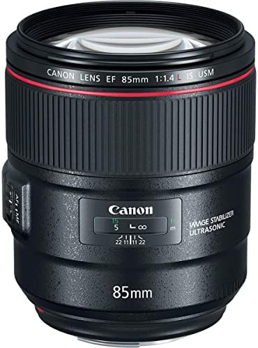 Canon EF 85mm f/1.4 L Canon, ProOptic 77mm Filtre Seti için X R2 Flaş Flaş Parlama Zoom Li USM Lens, Paket, Kit, Kaptan