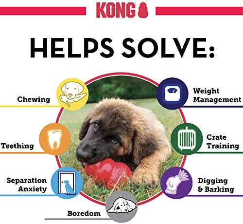 KONG-Klasik ve Vahşi Düğümler Ayı - Köpek Çiğneme Oyuncağı ve Doldurulmuş Köpek İpi Oyuncağı-Orta Köpekler için