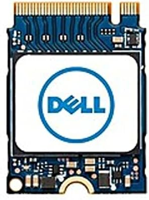 Dell SNP112233P / 256G 256GB Dahili Katı Hal Sürücüsü-M. 2 2230-PCI Express-NVMe-Sınıf 35