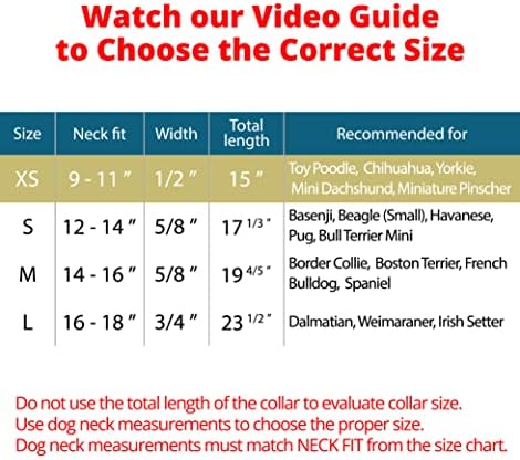 QR ID Etiketli Küçük Orta Büyük Köpekler için BRONZEDOG Haddelenmiş Deri Köpek Tasması