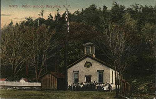 Devlet Okulu ve Arazisi Barryville, New York NY Orijinal Antika Kartpostal