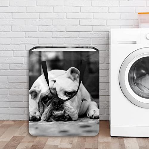 DJROW çamaşır sepeti İngilizce Bulldog Üzgün Yüz Büyük Kapasiteli Katlanabilir Giysi Sepeti Kolları ile saklama kutusu