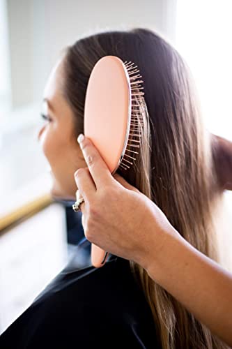 FRAMAR Dolaşık Açıcı Fırça Kıvırcık Saçlar için + FRAMAR Pastel Timsah Saç Klipleri 10 Paket