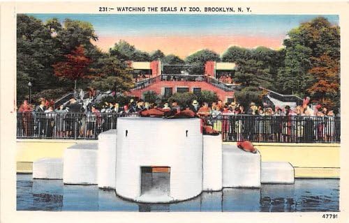 Brooklyn, New York Kartpostalı